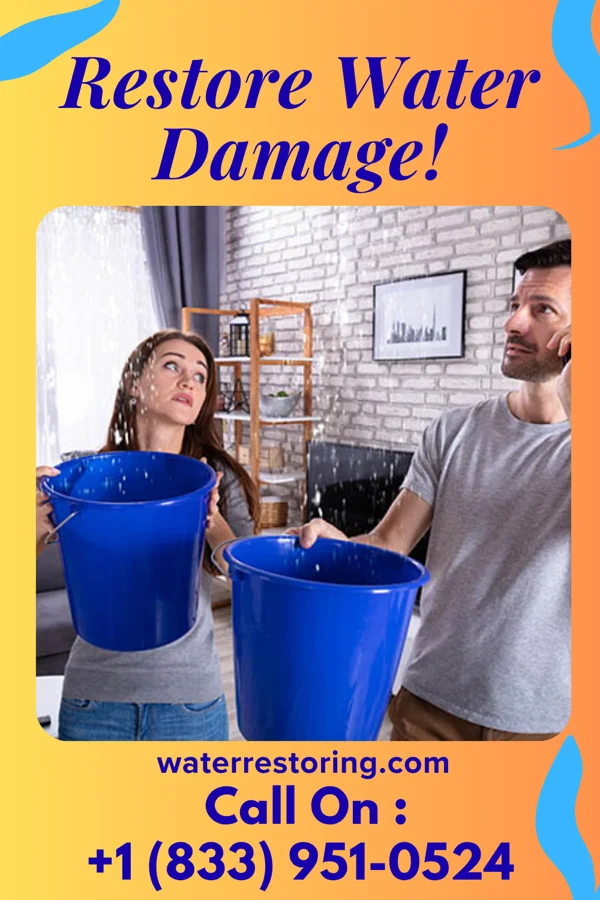 water restoration First Recovery Experts Keokee
